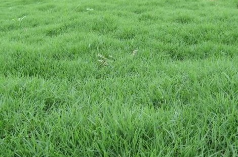 1630452904482545.jpg image.jpg