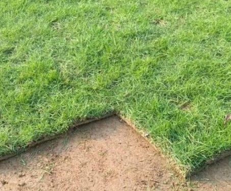 1630452922781133.jpg image.jpg