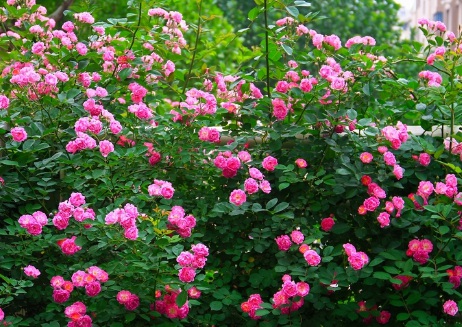 1630453199139768.jpg image.jpg