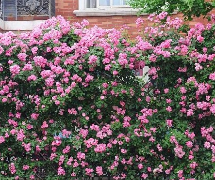 1630453212117089.jpg image.jpg