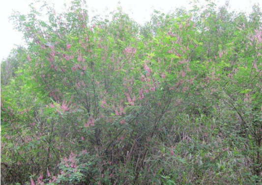 1630470709990325.jpg image.jpg