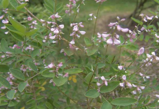 1630470719585606.jpg image.jpg