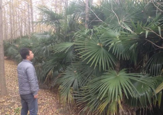 1630483765569534.jpg image.jpg