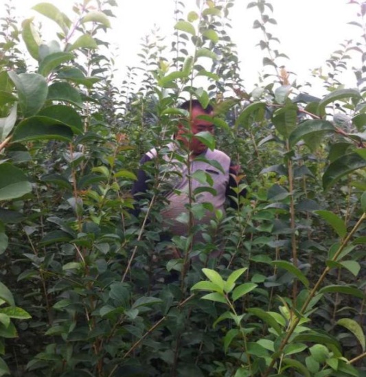 1630484076218113.jpg image.jpg