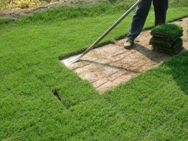 1630488287828143.jpg 2.jpg