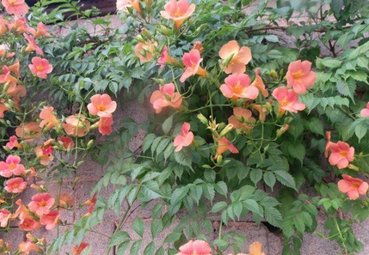 1630498633368359.jpg image.jpg