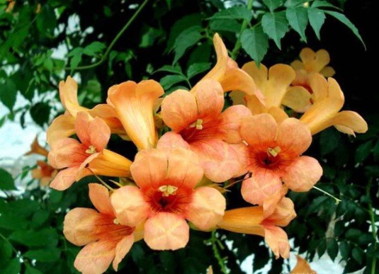 1630498643637568.jpg image.jpg