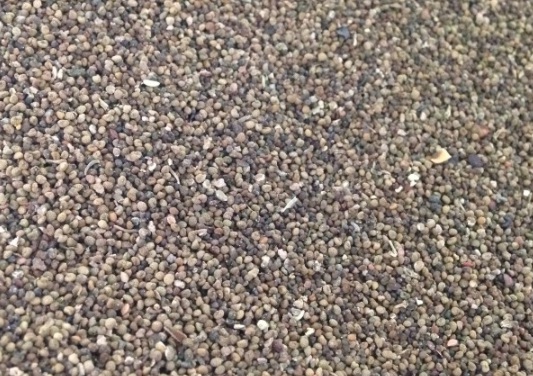 1630499803829993.jpg image.jpg