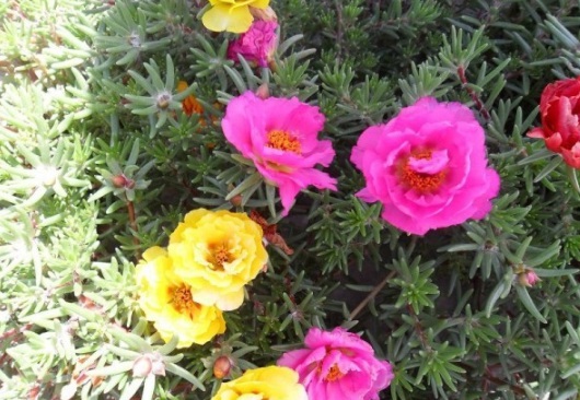 1630499830755222.jpg image.jpg