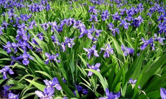 1630503892786979.jpg image.jpg