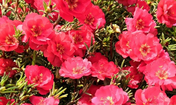 1630503970799137.jpg image.jpg