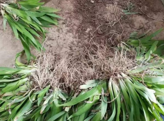 1630546863306747.jpg image.jpg