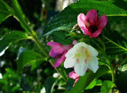 1630547655625631.jpg image.jpg