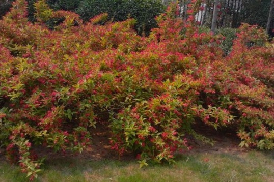 1630547665115216.jpg image.jpg