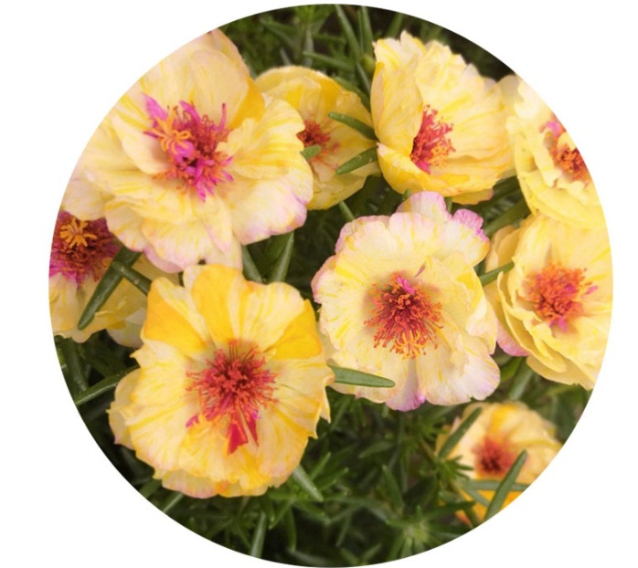 1630547959239339.jpg image.jpg