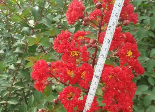 1630548566761592.jpg image.jpg