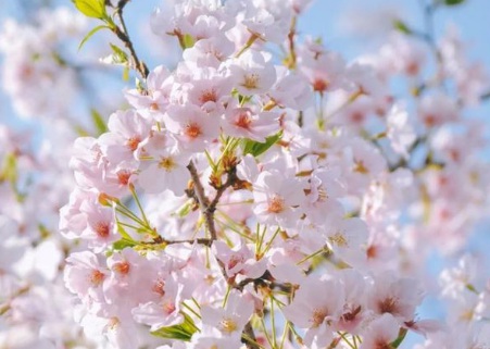 1630670854291040.jpg image.jpg