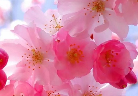 1630670861750228.jpg image.jpg