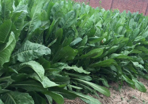 1630674846641123.jpg image.jpg