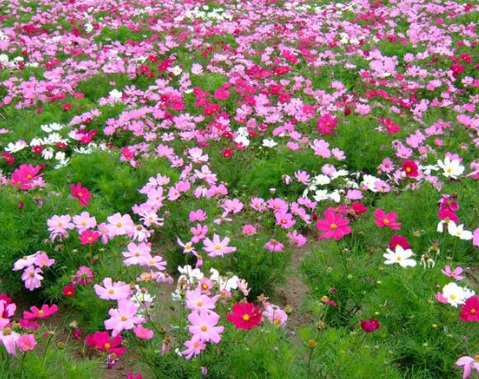 1630675266597220.jpg image.jpg