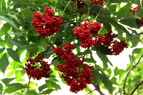 1630758602556809.jpg 1630758602556809.jpg