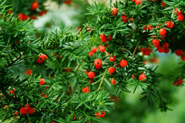 1630758622584832.jpg 1630758622584832.jpg