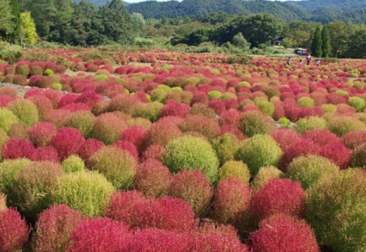 1630908899105480.jpg image.jpg