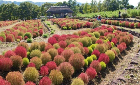 1630908912477299.jpg image.jpg