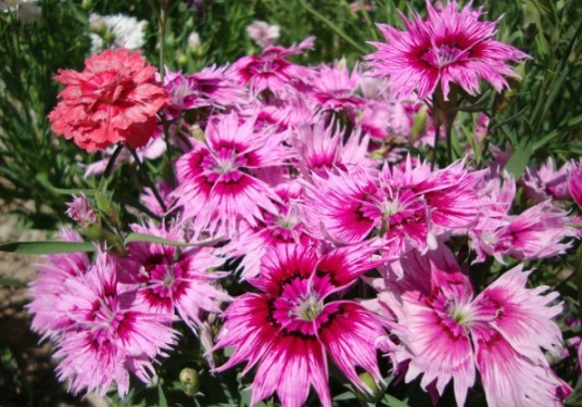 1630908978846492.jpg image.jpg