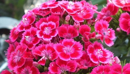 1630908988236129.jpg image.jpg