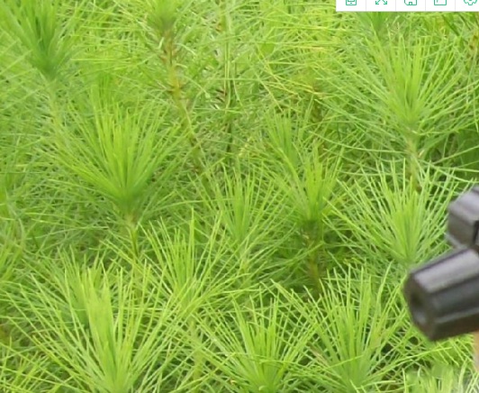 1630909931326872.jpg image.jpg