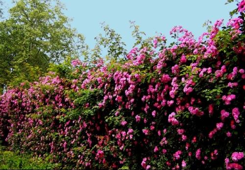 1630912309413769.jpg 1630912309413769.jpg