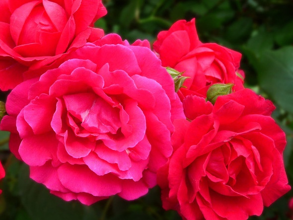 1630912328739061.jpg 1630912328739061.jpg