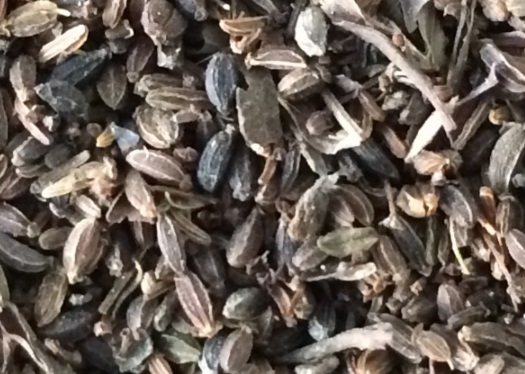 1630912350630230.jpg image.jpg