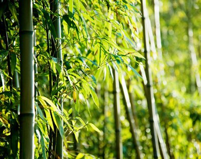 1630912505375002.jpg 1630912505375002.jpg