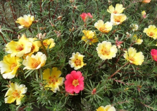 1630919537730393.jpg image.jpg