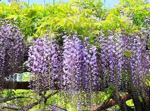 1630921208916635.jpg 1630921208916635.jpg