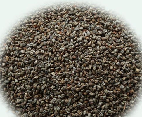 1630921664439056.jpg image.jpg