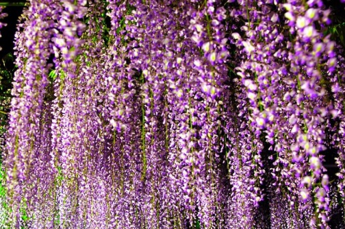 1630922404202679.jpg image.jpg