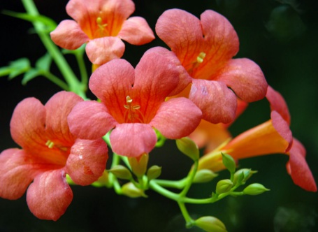 1630922486320523.jpg 1630922486320523.jpg