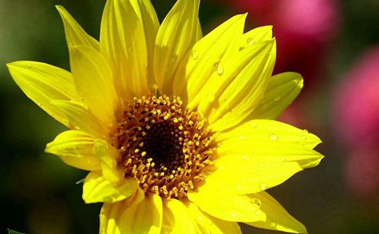 1630922569624045.jpg 1630922569624045.jpg