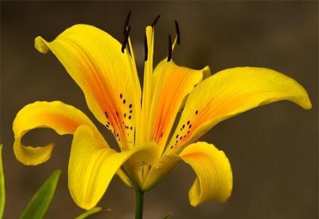 1631016889254170.jpg 1.jpg