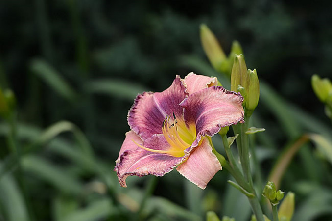 1631016899896717.jpg 2.jpg