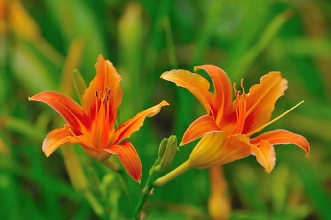 1631016907452350.jpg 3.jpg