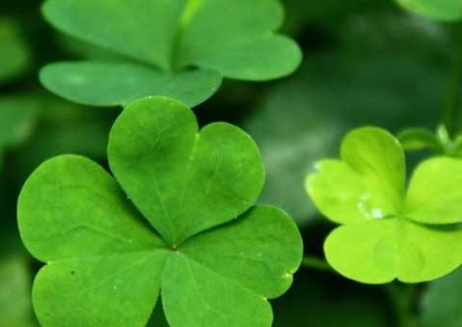 1631061560448980.jpg 1631061560448980.jpg