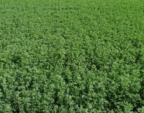 1631061578315536.jpg 1631061578315536.jpg