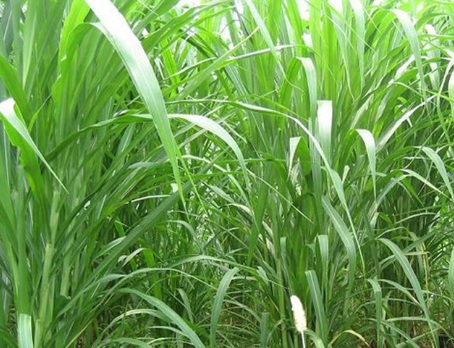 1631065992791558.jpg image.jpg