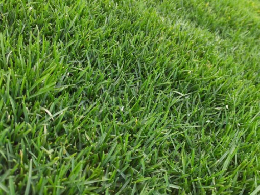 1631068252306243.jpg image.jpg