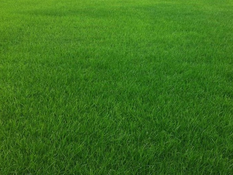 1631077311164698.jpg 1631077311164698.jpg