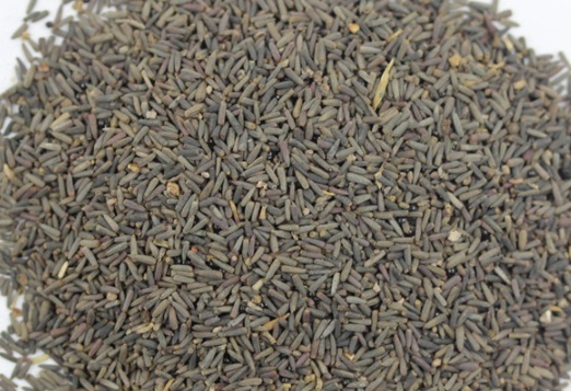 1631082740227845.jpg image.jpg